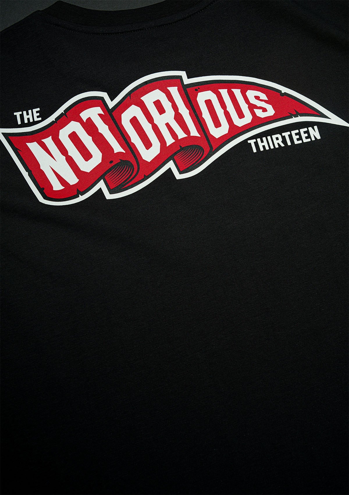T-Shirt TNT FLAG B/R/W - Image 5