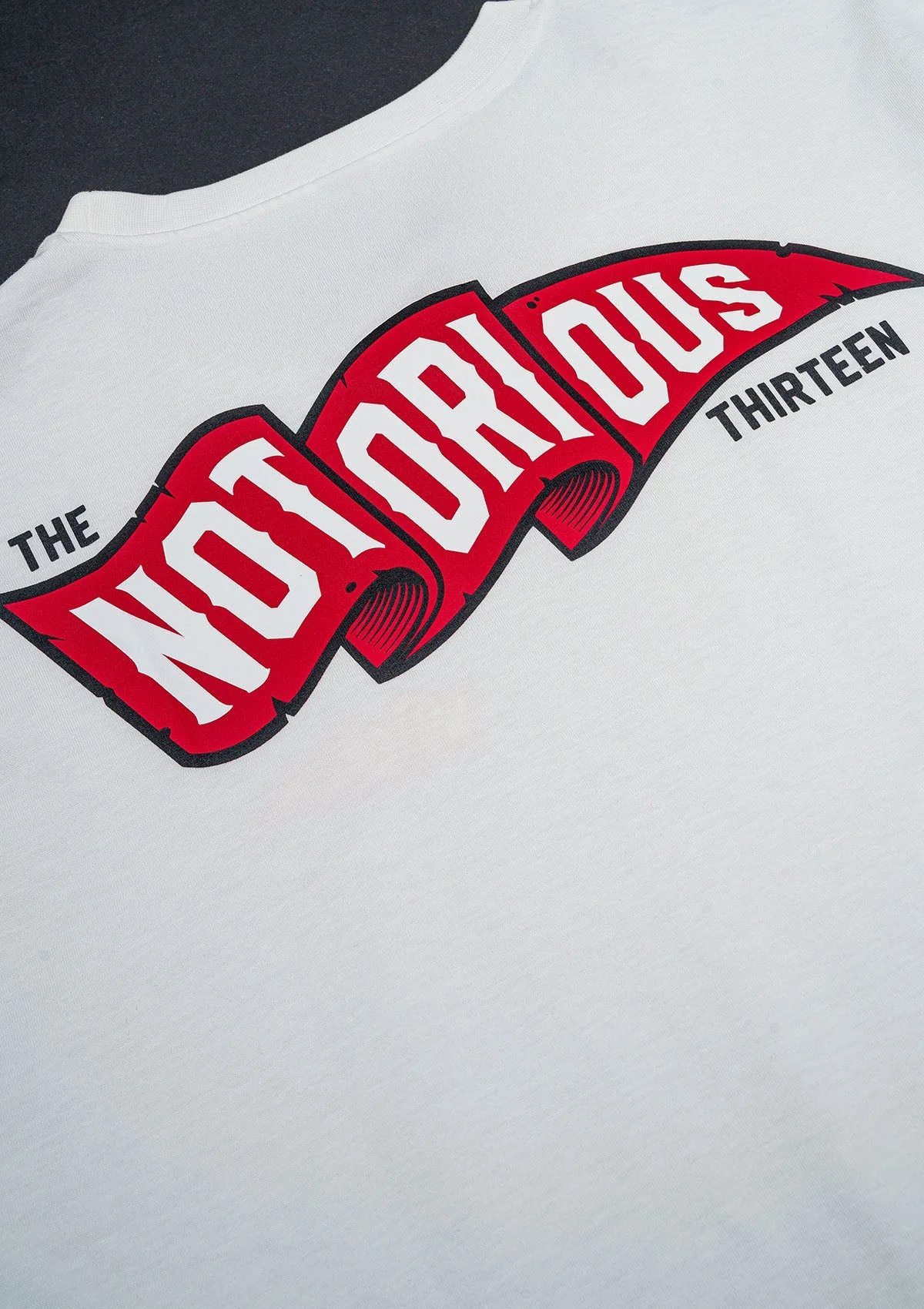 T-Shirt TNT FLAG OW/R/W - Image 5